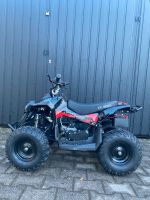 Pocket Bike Quad 50ccm NEU Kinderquad Mini Quad ATV pocketbike Bayern - Aschaffenburg Vorschau