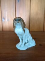 Rosenthal Figur King Charles Spaniel Deutschland 1930 Dresden - Innere Altstadt Vorschau