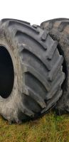 900/60R42 Michelin Axiobib  900/60/42 Niedersachsen - Delmenhorst Vorschau