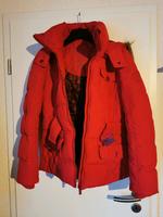 Winter Jacke rot edc, Gr. M/L Bayern - Rödental Vorschau