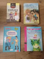 Verschiedene Kinderbücher Pferdegeschichten, Bibi u. tz Baden-Württemberg - Langenenslingen Vorschau