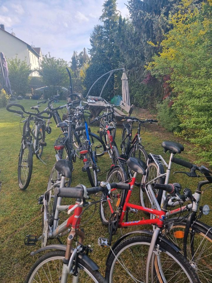 Fahrräder viele Größen in Althegnenberg