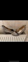 Schuhe Gr. 38 S Oliver Saarland - Püttlingen Vorschau