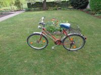 Vintage Hercules Damen Fahrrad , 26 Zoll gut erhalten Hessen - Riedstadt Vorschau