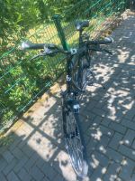 Herren Fahrräder 28 Zoll, Marken, Fahrrad Bergamont Niedersachsen - Peine Vorschau