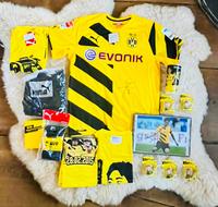 BVB Trikot neu Shinji Kagawa Rarität selten Borussia Dortmund Nordrhein-Westfalen - Werl Vorschau