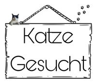Schmuse Katze gesucht  Nordrhein-Westfalen - Steinhagen Vorschau