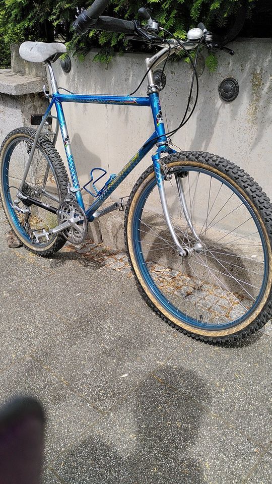 Colnago Master MTB 1986 Unicat, RH 54cm, silber/blau metallic in Wiesbaden