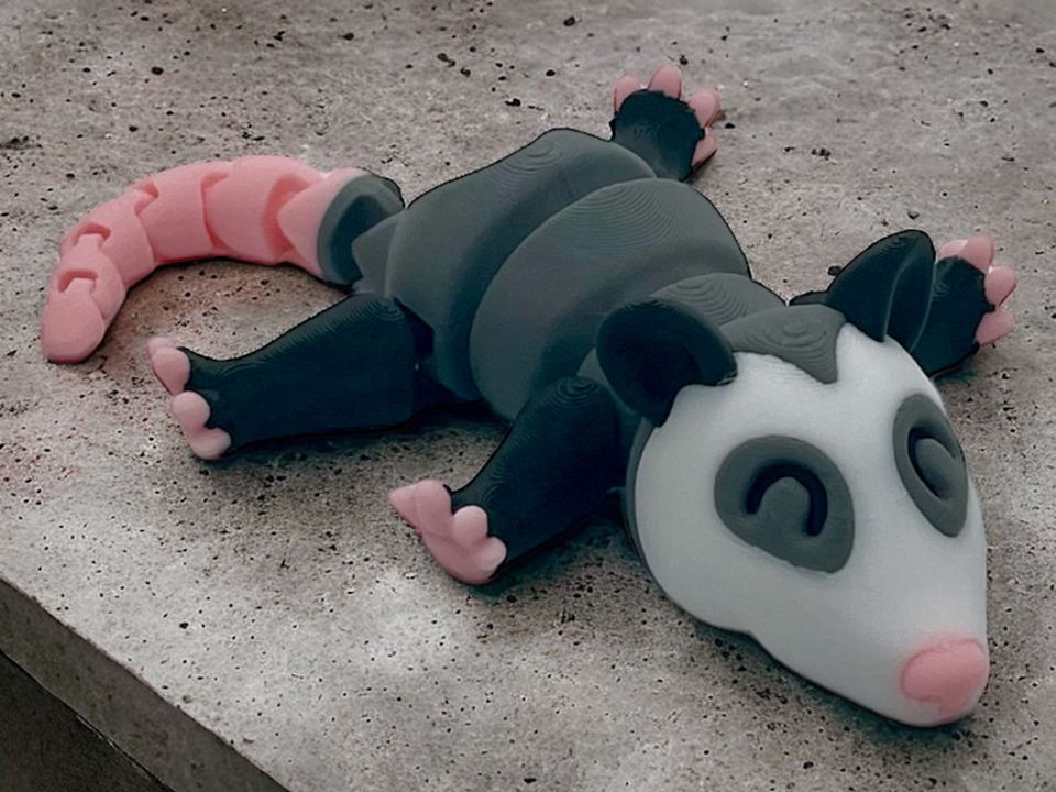 Opossum beweglich | MEHRFARBIG | Fidget | 3D Deko in Duisburg