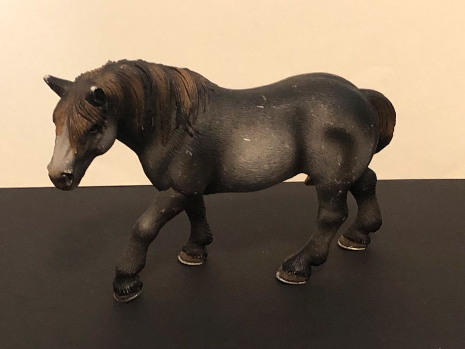 Schleich || alte Percheron Stute in Senden