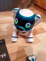 Roboter Hund Teksta Saarland - Namborn Vorschau