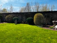 Gärtner - Garten Arbeiten (Rasen, Hecke, usw.) Leipzig - Leipzig, Zentrum Vorschau