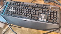 Logitech G710 Tastatur mechanisch Gaming *top* Dresden - Mobschatz Vorschau