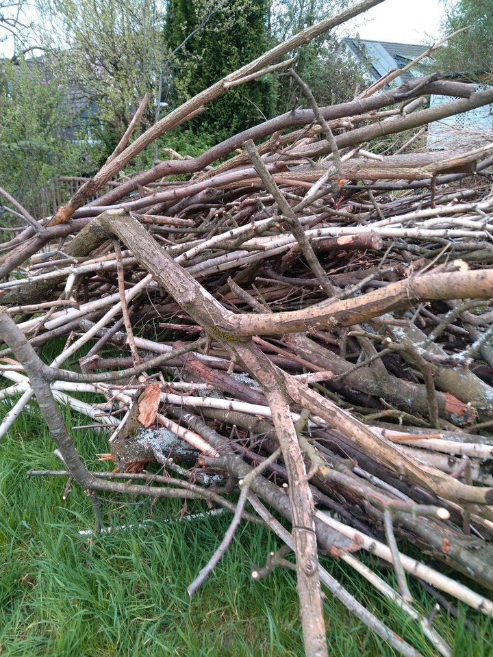 Brennholz zu verschenken in Odenthal