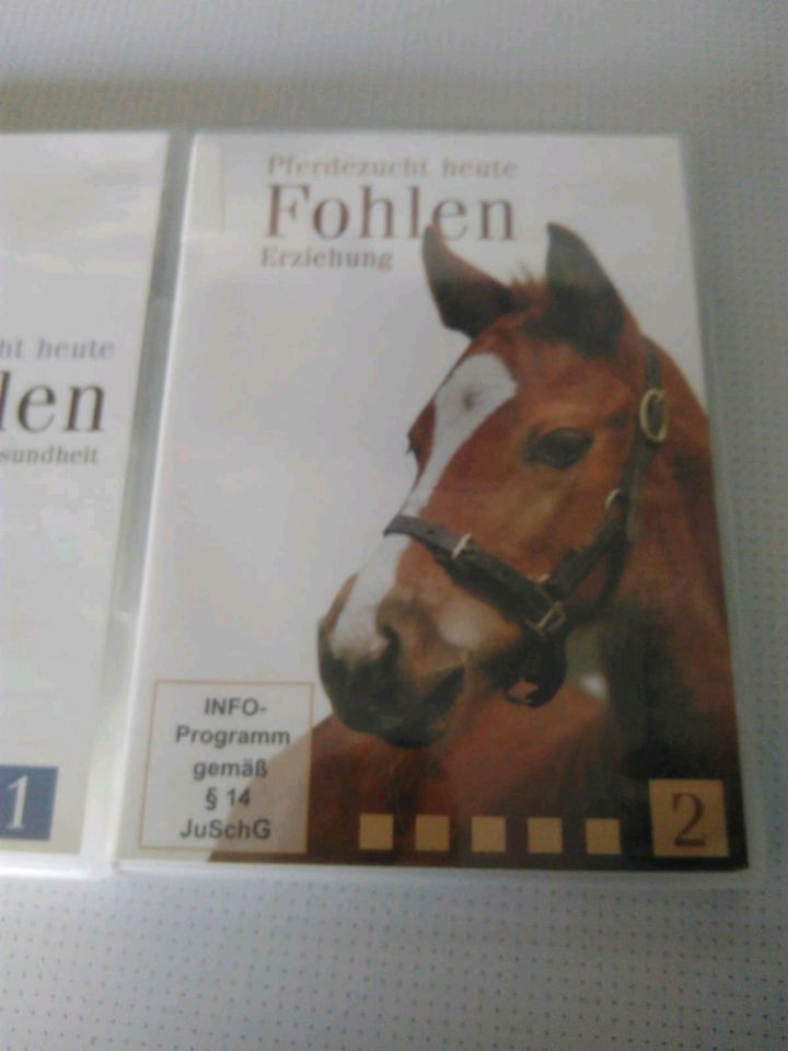 Fohlen Aufzucht 2 DVD Pferd Reiten in Hanstedt