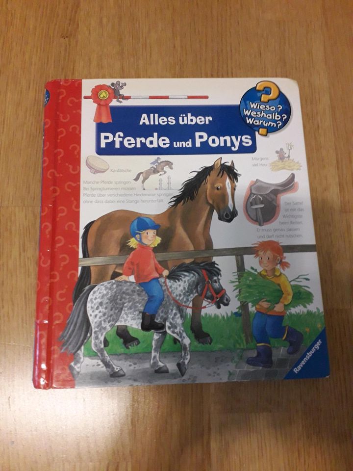 Buch Alles über Pferde und Ponys in Göttingen