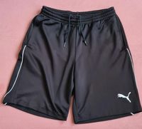 Herren Sport Hose Sachsen - Chemnitz Vorschau