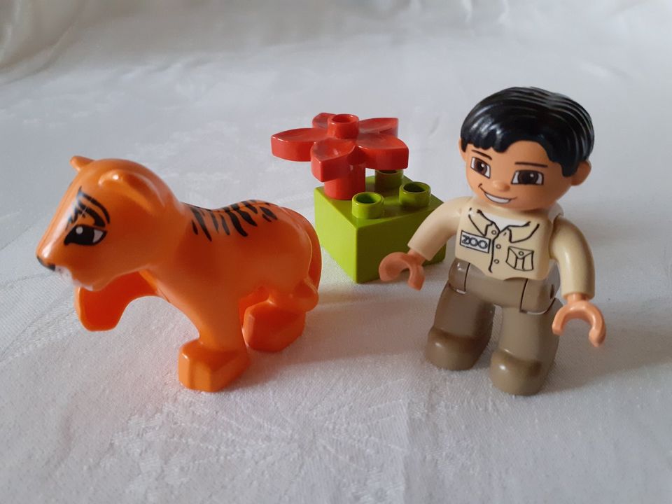 Lego ® Duplo Zoo Tierpfleger mit Tigerbaby 5632 in Denkingen