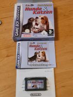 Gameboy Advance Spiel Hunde und Katzen,Nintendo,TOP !!! Rheinland-Pfalz - Neuwied Vorschau