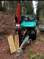 Lohnspalten Brennholz Rheinland-Pfalz - Haßloch Vorschau