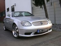 AMG STYLING SLK R170 STOSSTANGE Baden-Württemberg - Fellbach Vorschau