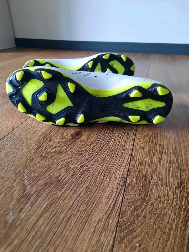 Adidas Predator Accuracy. 4 in Rheine