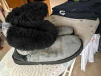 Ugg Gr. 41 Baden-Württemberg - Mannheim Vorschau
