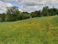 Wochenendgrundstück Baden-Württemberg - Bretten Vorschau