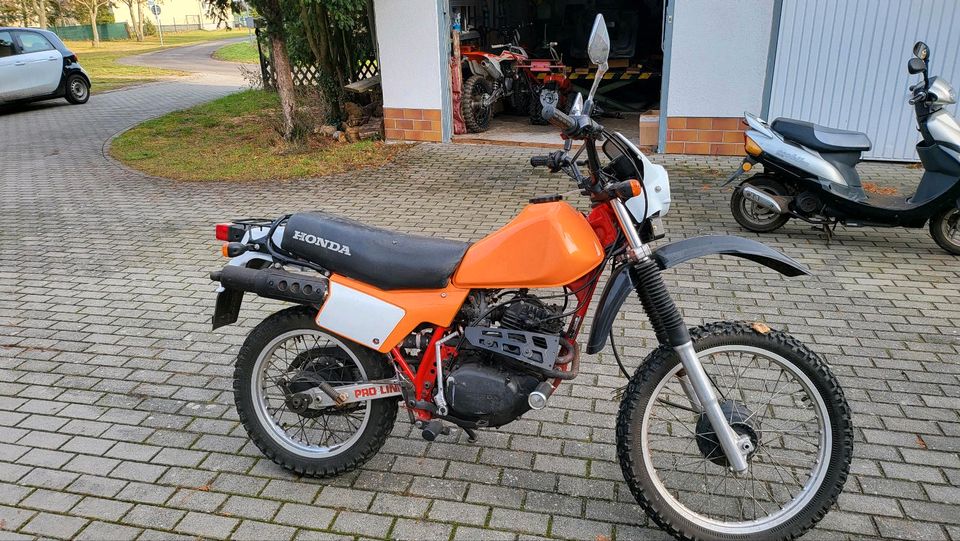 Honda XL 250 in Wiesenaue