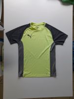 Puma Drycell Sportshirt Jungen 164 Niedersachsen - Bad Zwischenahn Vorschau