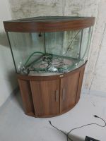 Juwel Aquarium eckaquarium 190 l trigon braun Bayern - Roth Vorschau