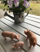 SCHLEICH EBER SAU FERKEL Schleswig-Holstein - Ritzerau Vorschau