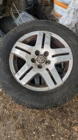 VW Golf Alufelgen mit Reifen 195/65 R15 Sachsen-Anhalt - Genthin Vorschau