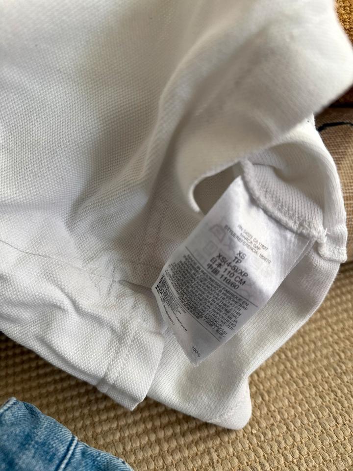 Paket Shorts & Polo Shirt Gr. 104/110 - Levi’s, H&M, OshKosh etc. in Rüsselsheim