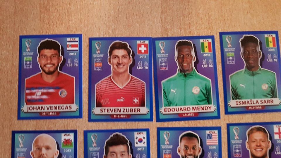 Panini  WM  2022 qatar  USA  Version  Blue  Parallel in Neuendettelsau