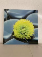 Glasbild, „grüne Blume auf Steinen“, 50x50cm Nordrhein-Westfalen - Stolberg (Rhld) Vorschau