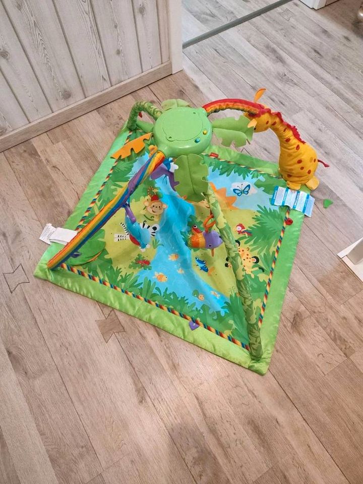 Fisher price Regenwald Baby Spielbogen in Hohenhameln