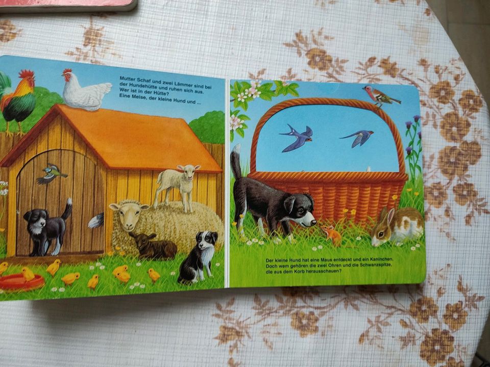 4 schöne Bücher für kleine Kinder in Bernsdorf