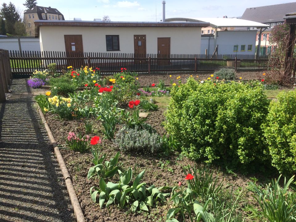 wunderschöner Garten mit stabilen Gartenhaus & Schuppen in Sachsen