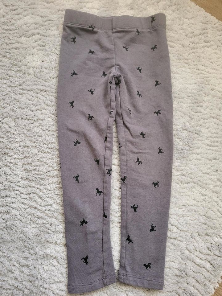 Leggins h&m 104 grau Pferde in Wernigerode