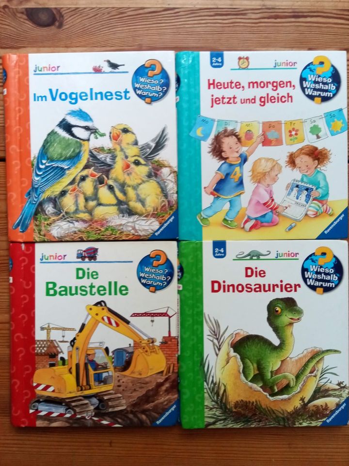 4x Buch WWW Vogelnest Zeit Dinosaurier Baustelle in Berlin
