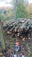 Holz zum Verkauf Nordrhein-Westfalen - Horn-Bad Meinberg Vorschau