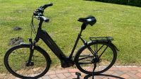 Raleigh Bristol Premium E-Bike mit Sonderlackierung Blue RH 58 Niedersachsen - Bersenbrück Vorschau