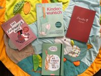 Kinderwunsch/Schwangerschaft Bücher Ludwigslust - Landkreis - Hagenow Vorschau