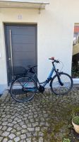 dynamics vectron tg trekking geo fahrrad Bayern - Lappersdorf Vorschau