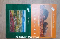 1000er Puzzle Hessen - Diemelsee Vorschau