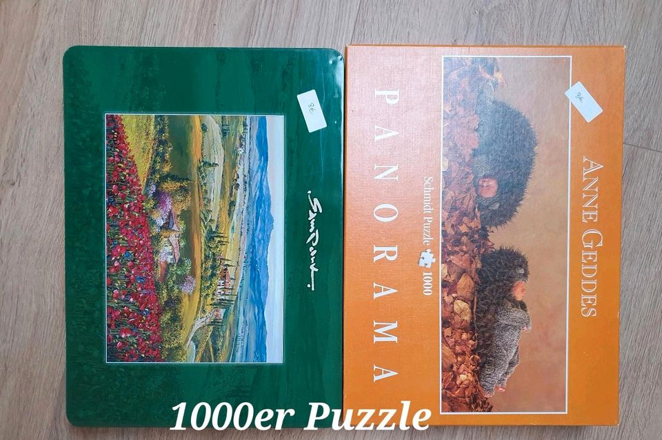 1000er Puzzle in Diemelsee