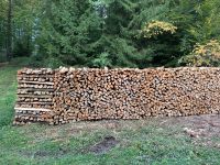 Brennholz Feuerholz Holz Buche Laubholz Niedersachsen - Nörten-Hardenberg Vorschau