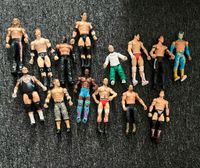 WWE Figuren, alle 14 figuren 50,- Mecklenburg-Vorpommern - Neubrandenburg Vorschau