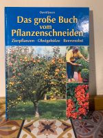 Garten Pflege schneiden Kompost Pflanzenkunde Orchideen Bayern - Tiefenbach Kr Passau Vorschau